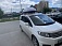 �������� ���� TURINO 1 175*80*45 (450�) ����� Honda Freed Spike 2010-2011 �.